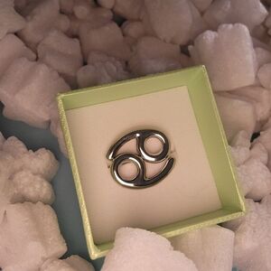 Silver Cancer Zodiac Ring